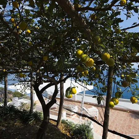 Orleans Πανσιόν