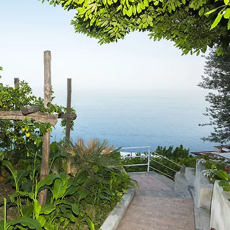 Orleans Guest house 4*