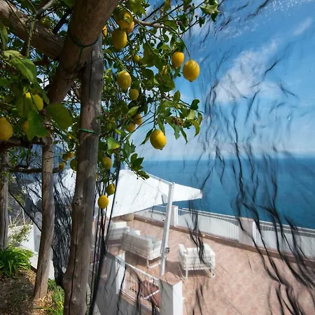 Orleans Amalfi