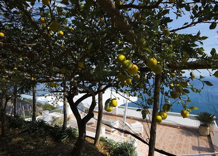 Orleans Casa de hóspedes